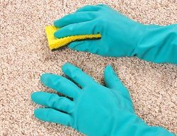 Brompton Carpet Cleaning SW10 