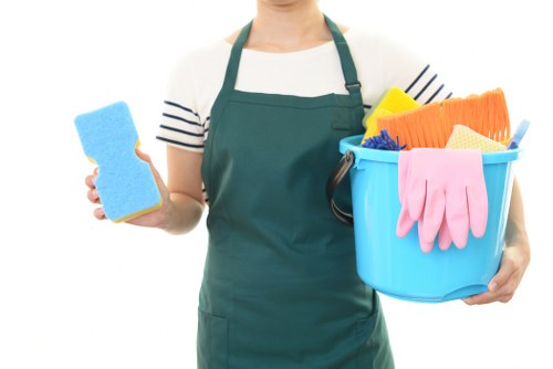 Deep cleaning and tenancy cleaning services illustration
