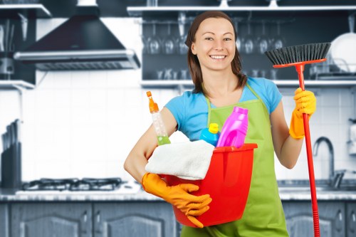 Specialist carpet, upholstery and oven cleaning visual