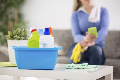 Submitting a cleaning service complaint with clear details