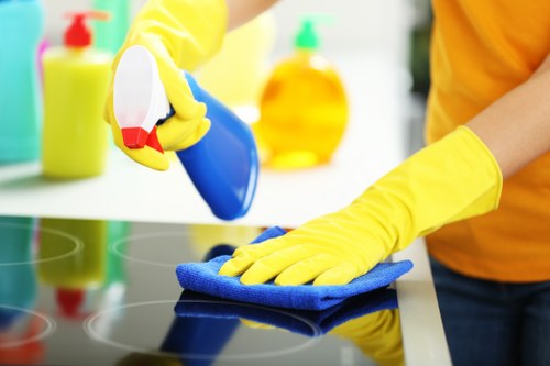Residential cleaning service in Brompton apartment interior