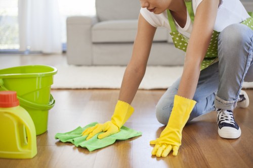 Brompton cleaner organizing domestic cleaning tasks